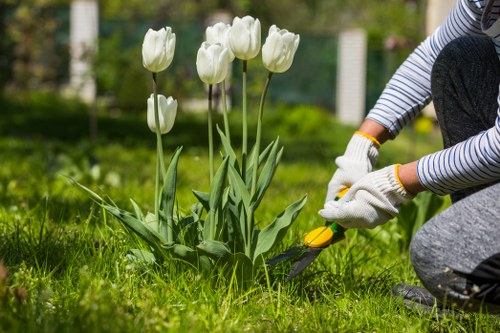 Gardener Hendon team at work in a residential front garden