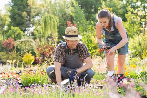 Gardener Hendon team at work in a residential garden